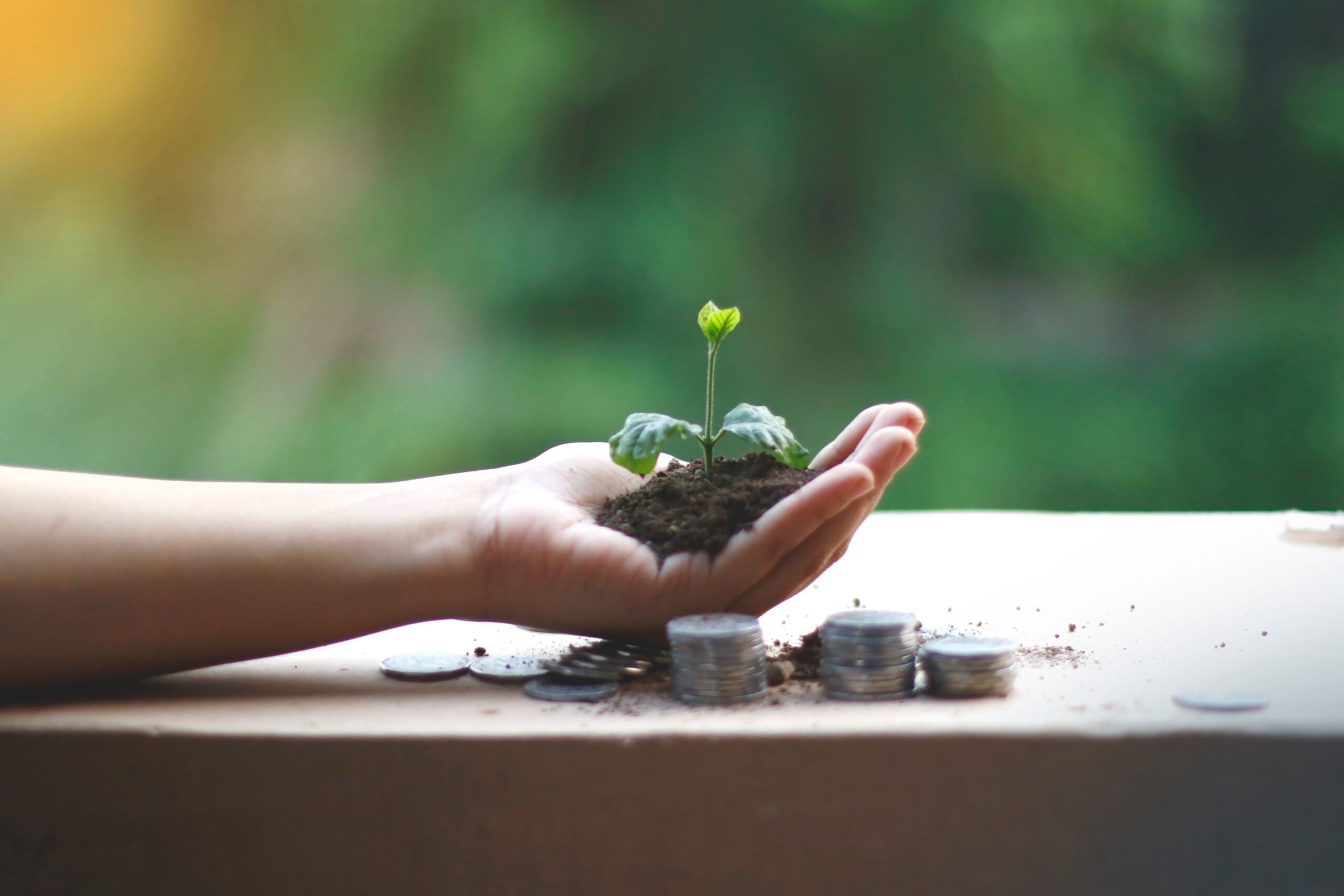 Accelerate cooling with your portfolio 