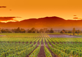 The Napa Valley Climate Connection: A prize-winning approach to slow climate change